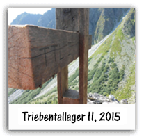 Triebentallager II, 2015